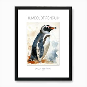 Humboldt Penguin Volunteer Point Watercolour Painting 3 Poster Art Print