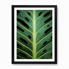 Monstera Leaf 1 Art Print