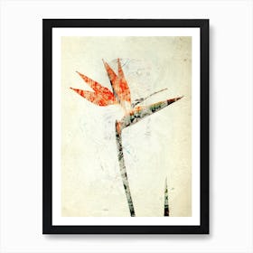 Bird Of Paradise Art Print