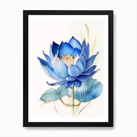 Blue Lotus Watercolour Ink Pencil 1 Art Print