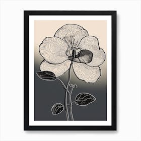 Line Art Orchids Flowers Illustration Neutral 11 Art Print