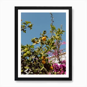 Lemon Tree Art Print