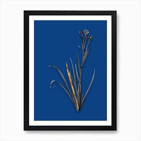 Vintage Bermudiana Black and White Gold Leaf Floral Art on Midnight Blue n.0374 Art Print