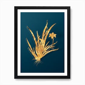 Vintage Fortnight Lily Botanical in Gold on Teal Blue n.0196 Art Print