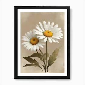 Denmark National Flower The Marguerite Daisy Art Print