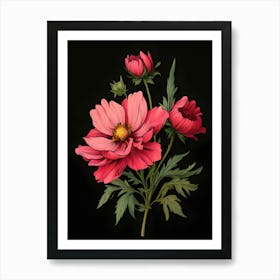 Cosmos Flower 4 Art Print