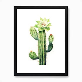 Trichocereus Cactus Watercolour Drawing 3 Art Print