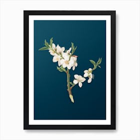 Vintage Almond Tree Flower Botanical Art on Teal Blue n.0841 Art Print