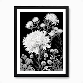 Pearly Everlasting Wildflower Linocut 2 Art Print