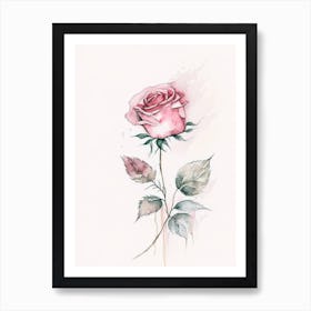 Rose Herb Minimalist Watercolour 1 Art Print