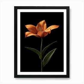 Orange Lily Poster