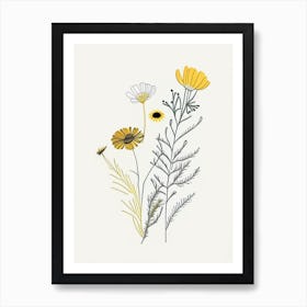 Chamomile Spices And Herbs Minimal Line Drawing 1 Art Print