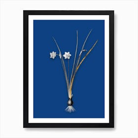 Vintage Daffodil Black and White Gold Leaf Floral Art on Midnight Blue n.0936 Art Print