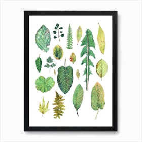 Leaves Art Print