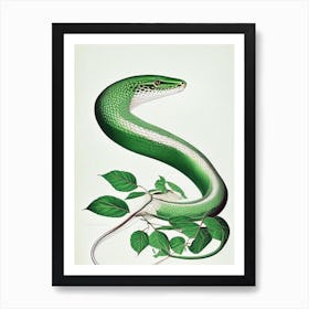 Smooth Green Snake Vintage Art Print