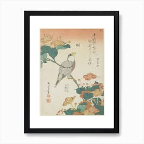 Japanese Grosbeak And Four O Clocks Art Print