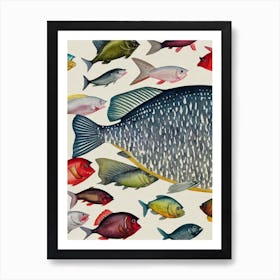 Sea Bream Vintage Graphic Watercolour Art Print