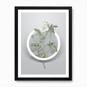 Vintage White Anjou Roses Minimalist Flower Geometric Circle on Soft Gray Art Print