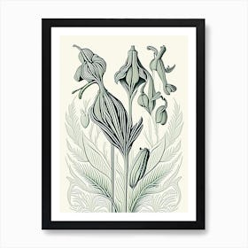 Cardamom Herb William Morris Inspired Line Drawing 1 Art Print