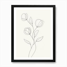 Line Drawing Of Flowers Art Print