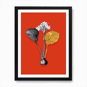 Vintage Cardwell Lily Black and White Gold Leaf Floral Art on Tomato Red n.0519 Art Print