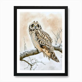 Short Eared Owl Painting 3 Art Print