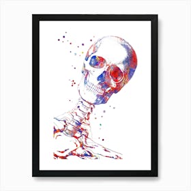 Watercolor Skull Art Print
