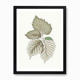 Raspberry Leaf Herb William Morris Inspired Line Drawing 1 Art Print