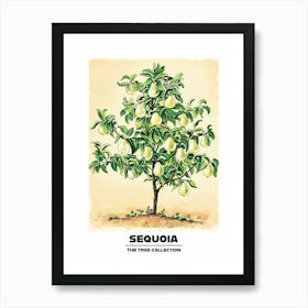 Sequoia Tree Storybook Illustration 3 Poster Art Print