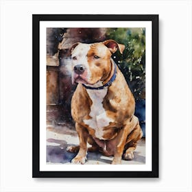 American Pit Bull Terrier Art Print
