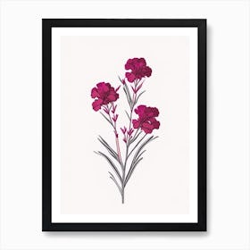 Sweet William Floral Minimal Line Drawing 3 Flower Art Print