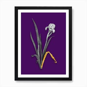 Vintage Crimean Iris Black and White Gold Leaf Floral Art on Deep Violet n.1215 Art Print