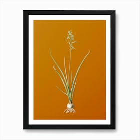 Vintage Hyacinthus Viridis Botanical on Sunset Orange n.0462 Art Print