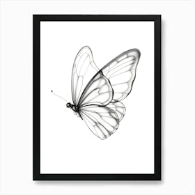 Butterfly Drawing Art Print