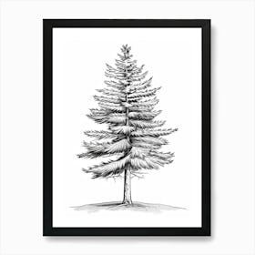 Spruce Tree Minimalistic Drawing 1 Art Print