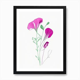 Sweet Pea Floral Minimal Line Drawing 3 Flower Art Print