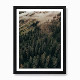 Calm Mornings, Edition 2 Art Print