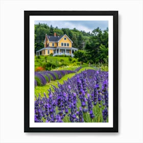 Lavender Field 22 Art Print