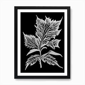 Pennyroyal Leaf Linocut 2 Art Print