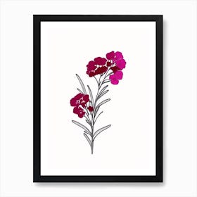 Sweet William Floral Minimal Line Drawing 1 Flower Art Print