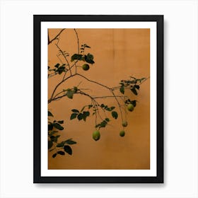 Lime Tree Closeup Art Print