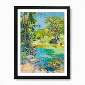 Barton Springs Pool Austin Texas Oil Painting 2 Art Print