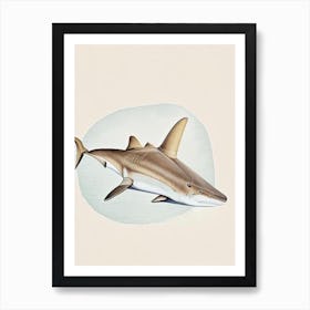 Nurse Shark Vintage Art Print