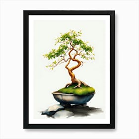 Bonsai Tree 8 Art Print