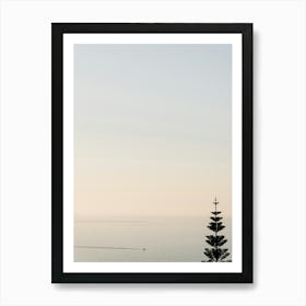 Lone Pine Tree At Sunset With A Boat In Italy Art Print