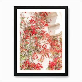 Summer red bougainvillea flowers in Cascais, Portugal - floral nature and travel photography by Christa Stroo Photography. Art Print