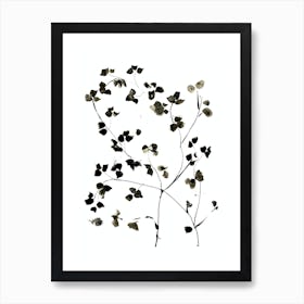 Blossom Art Print