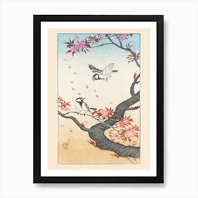 Two Great Tits At Blossoming Tree, Ohara Koson Art Print