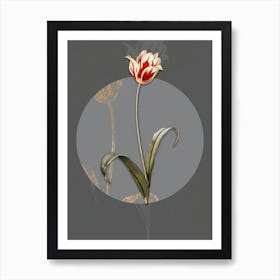 Vintage Botanical Didier's Tulip on Circle Gray on Gray n.0106 Art Print