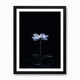 Flower In The Dark 1 Art Print